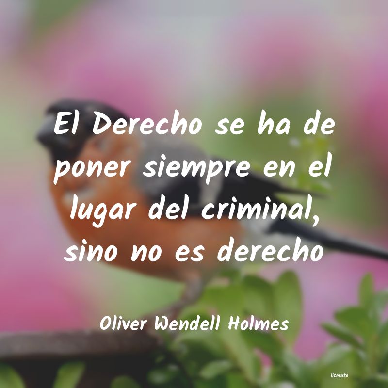 frases de Oliver Wendell Holmes