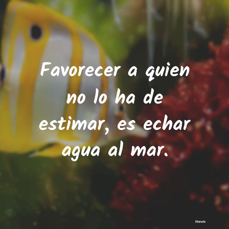 frases