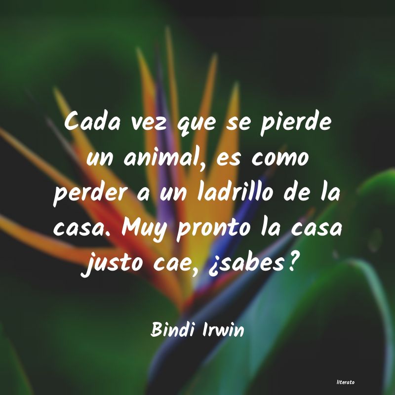 frases de Bindi Irwin
