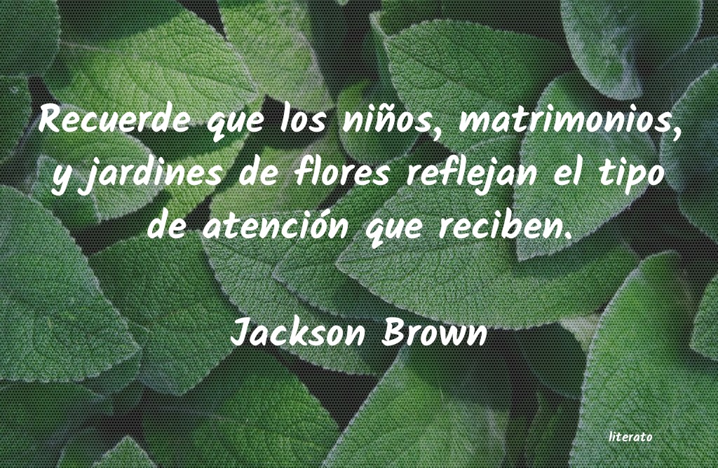 frases de Jackson Brown
