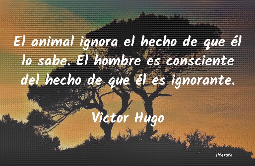 lagrimas con victor hugo