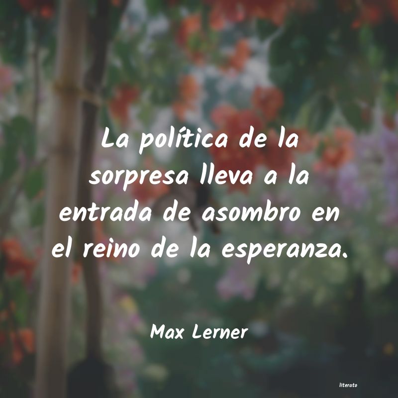 Frases de Max Lerner