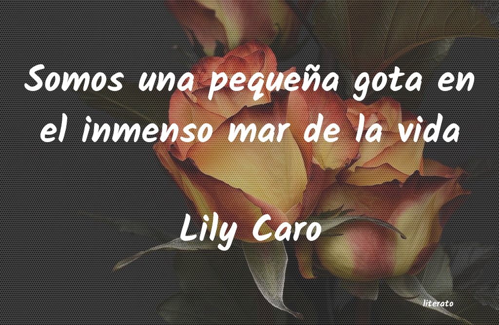 frases de Lily Caro