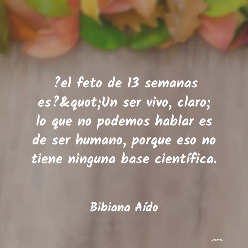 Frases de Bibiana Aído