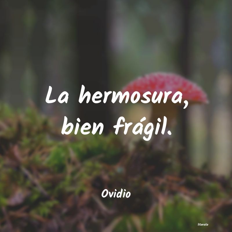 frases de Ovidio