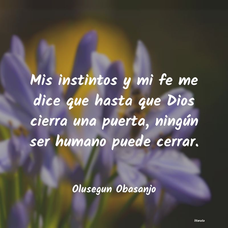 Frases de Olusegun Obasanjo