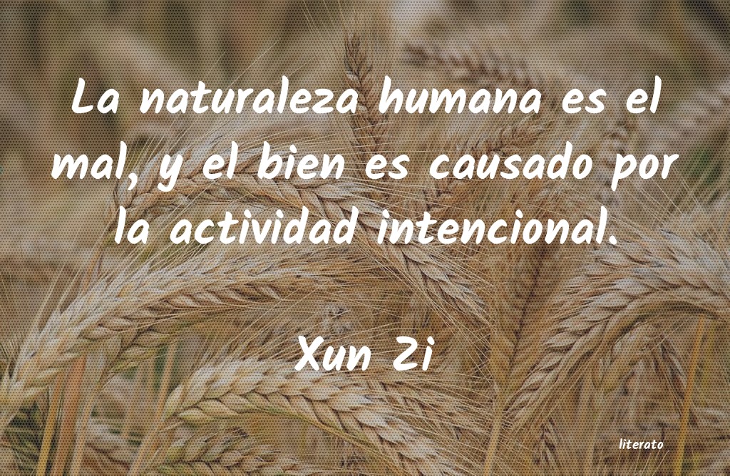 Frases de Xun Zi