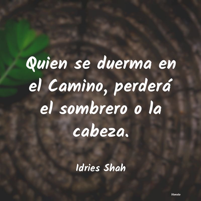 Frases de Idries Shah