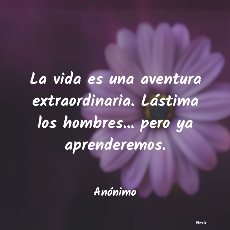 frases