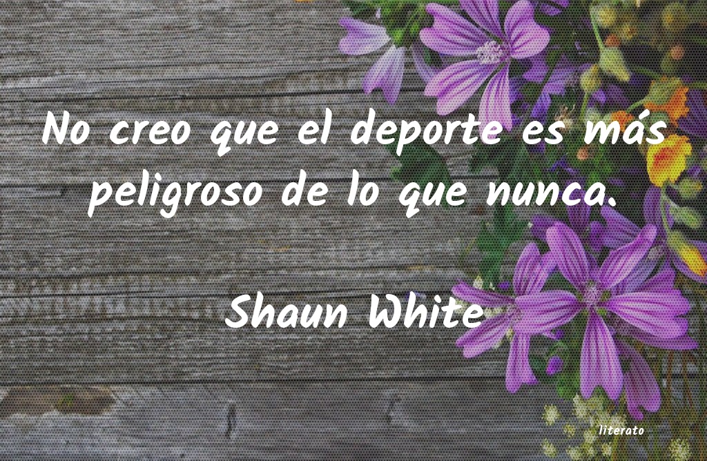 frases de Shaun White