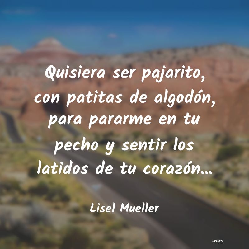 Frases de Lisel Mueller