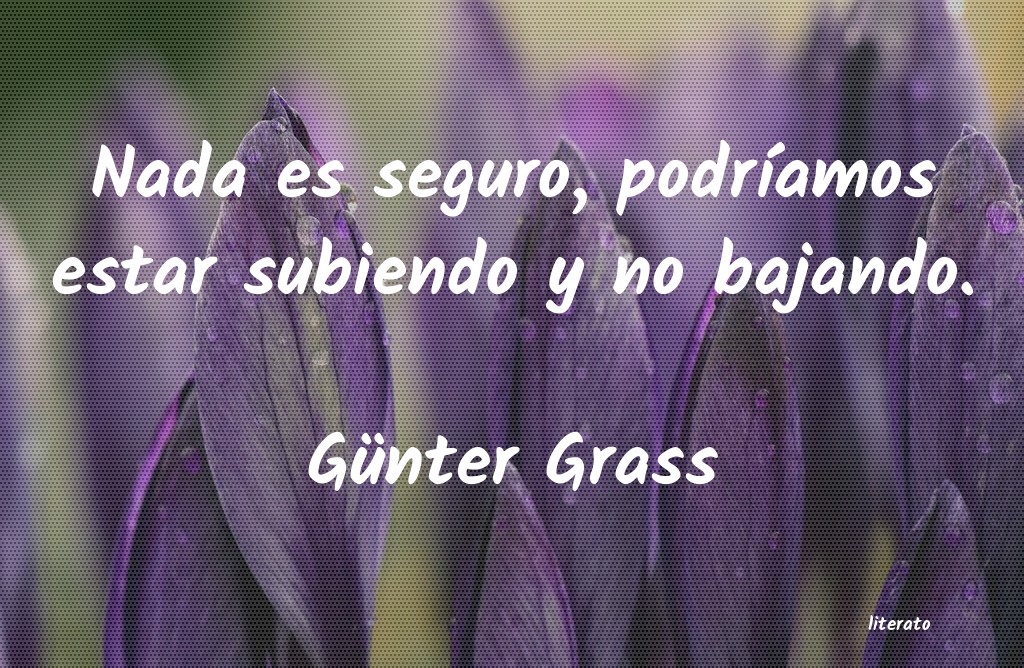 Frases de Günter Grass