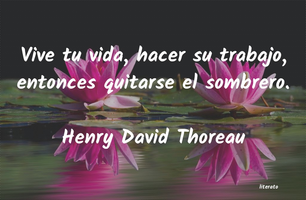 frases de Henry David Thoreau