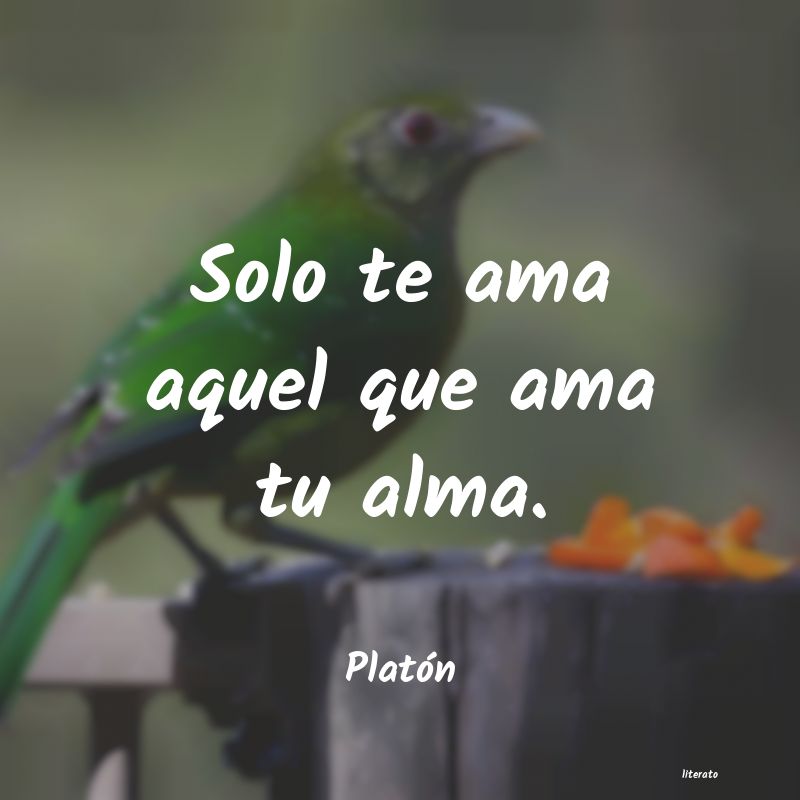 frases de PlatÃ³n