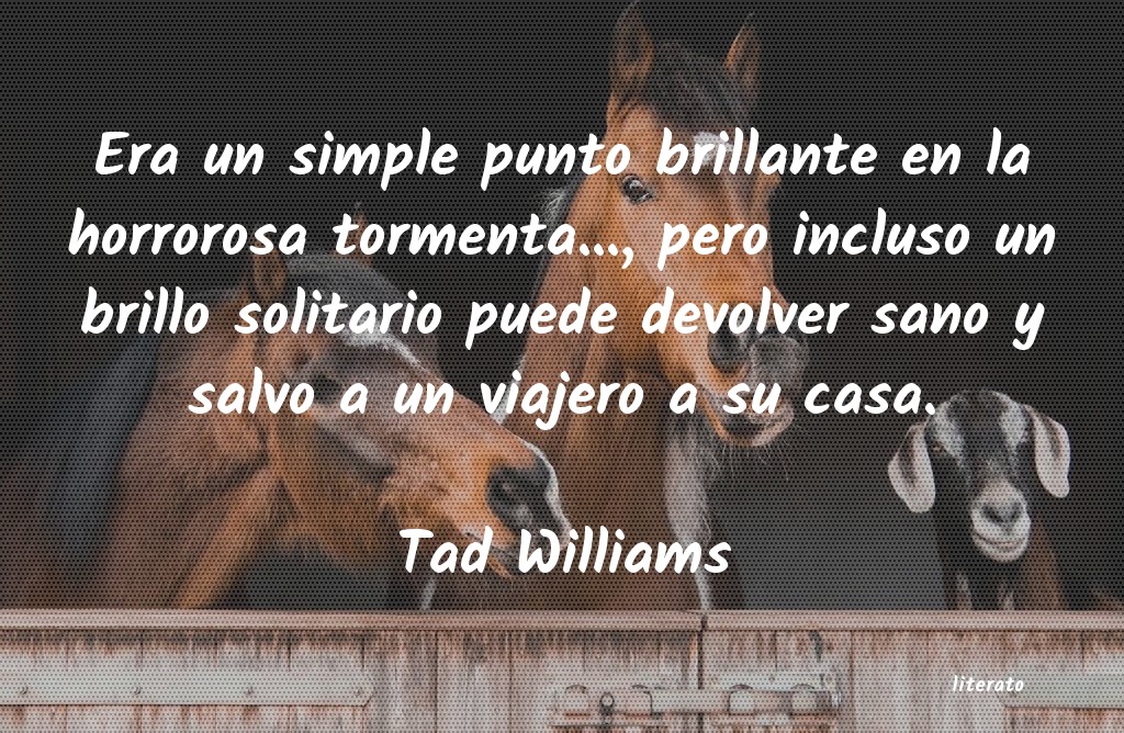 Frases de Tad Williams