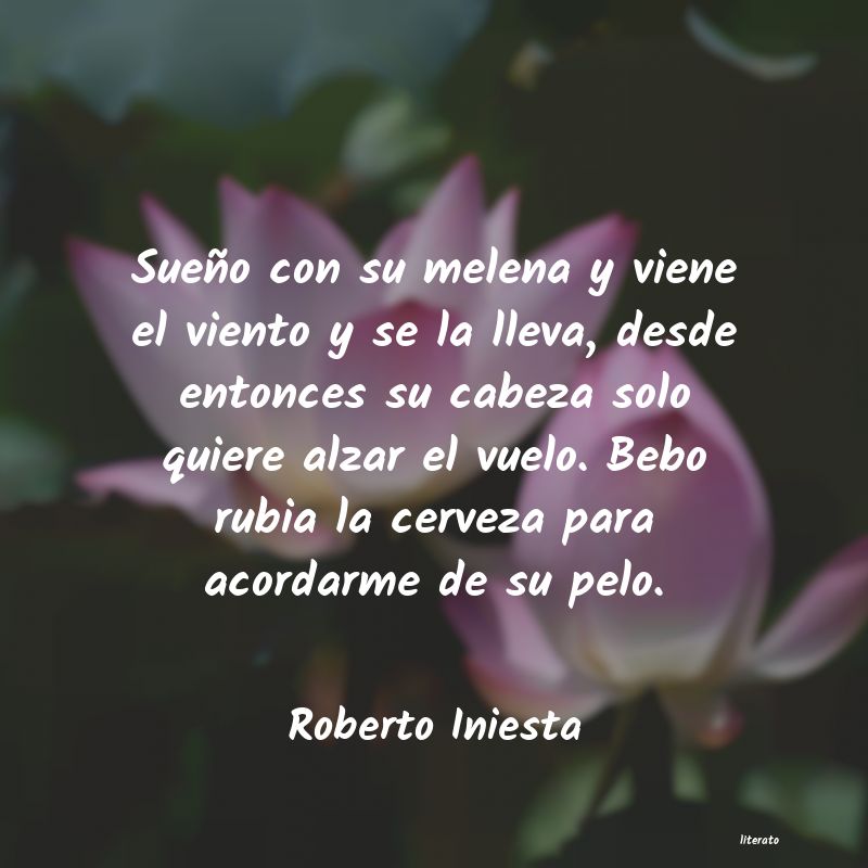 Frases de Roberto Iniesta