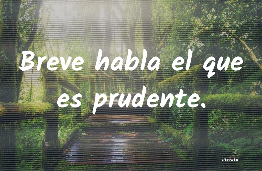 frases