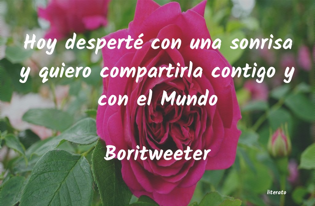frases de Boritweeter