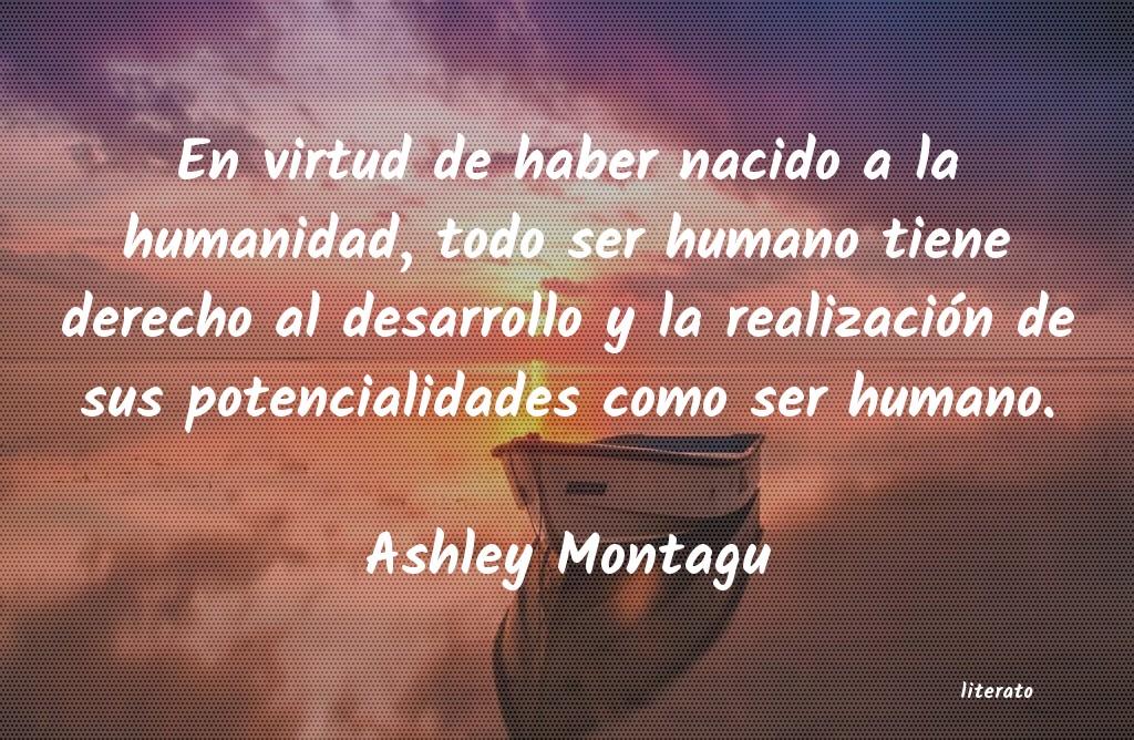 desarrollo humano kofi annan