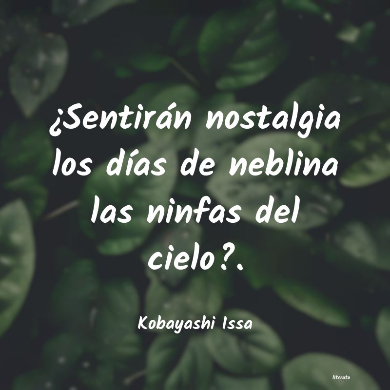 frases de Kobayashi Issa