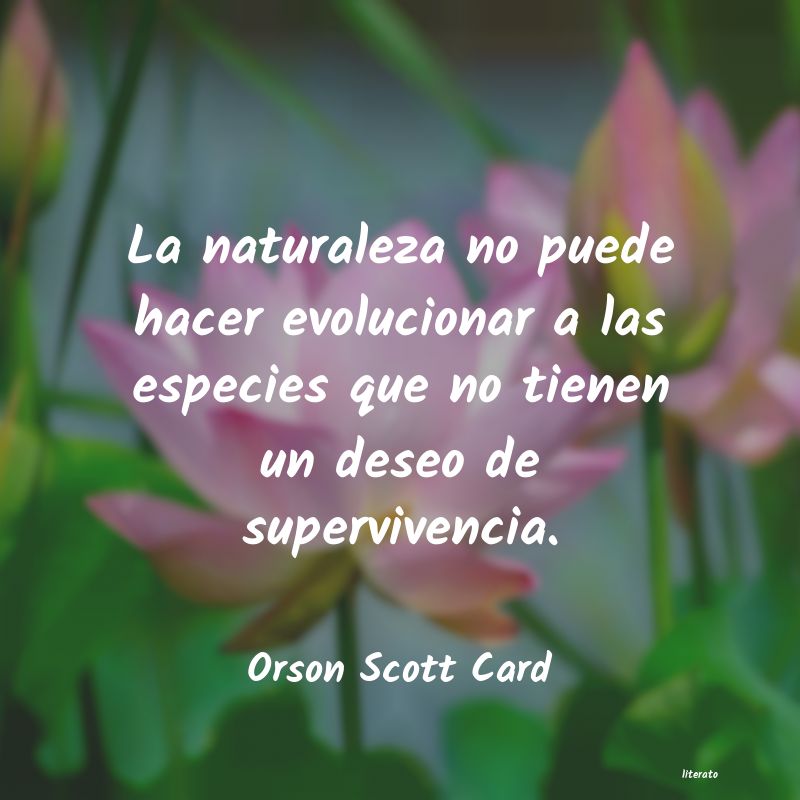 Frases de Orson Scott Card