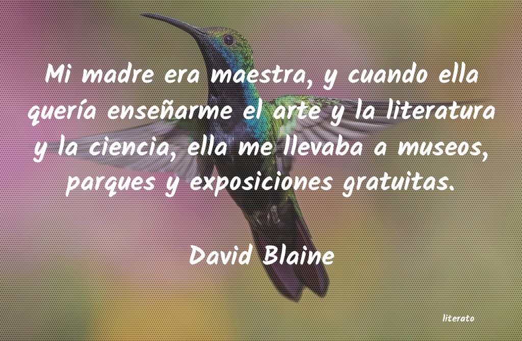 frases de David Blaine
