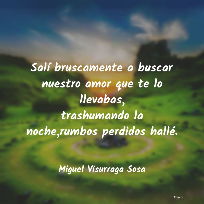 frases de Miguel Visurraga Sosa