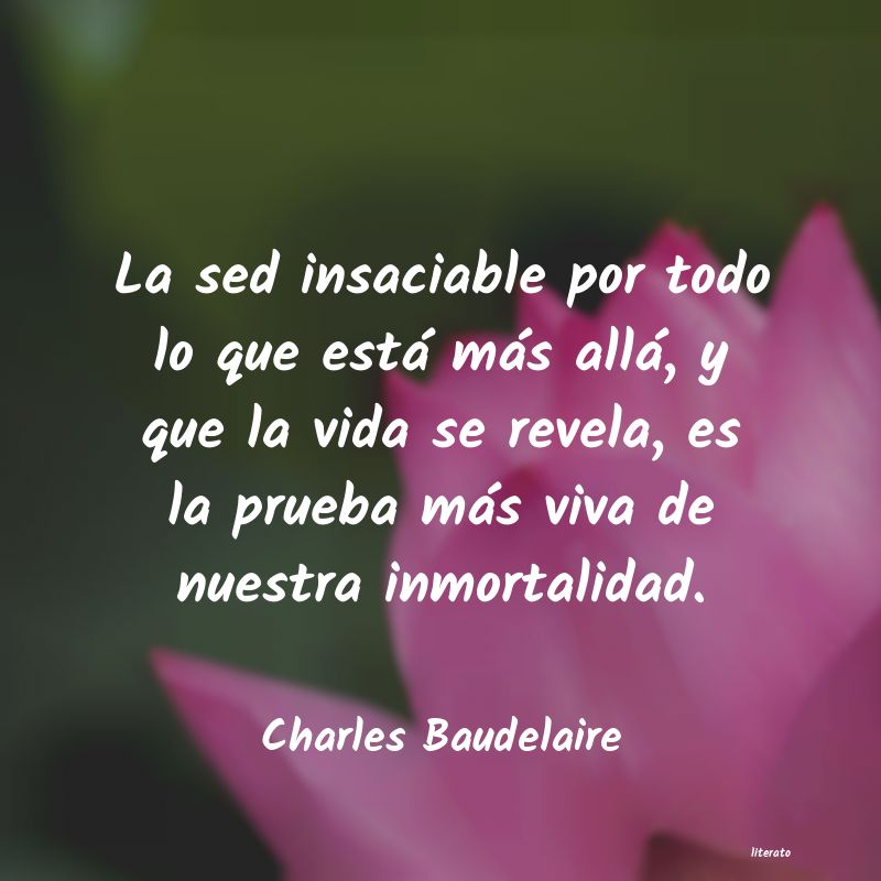 frases de Charles Baudelaire