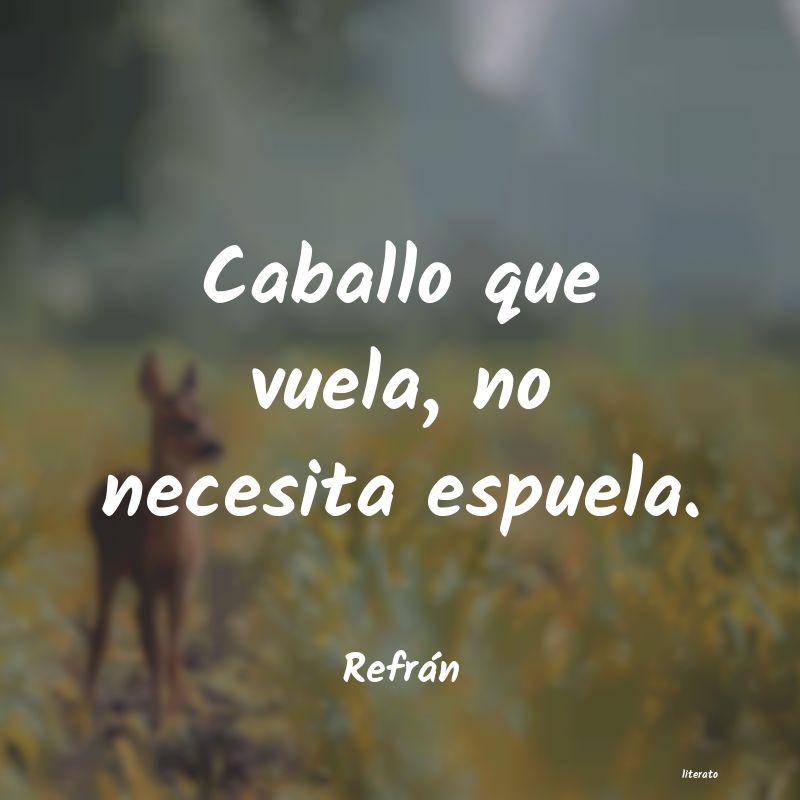 Frases de Refrán