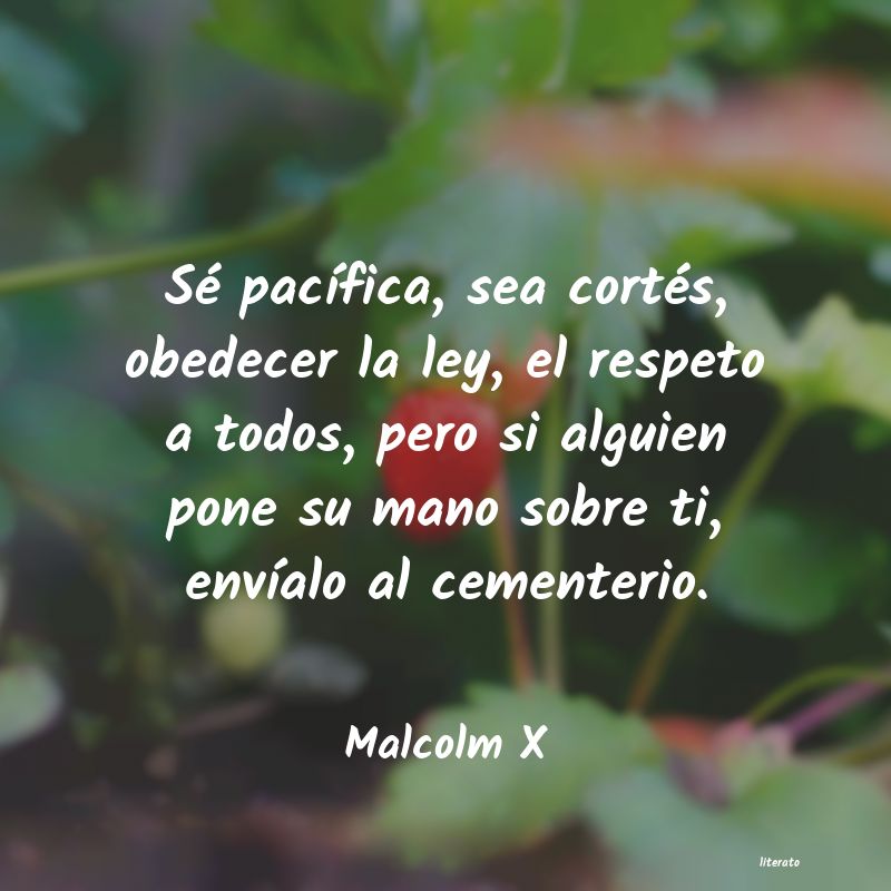 frases de Malcolm X