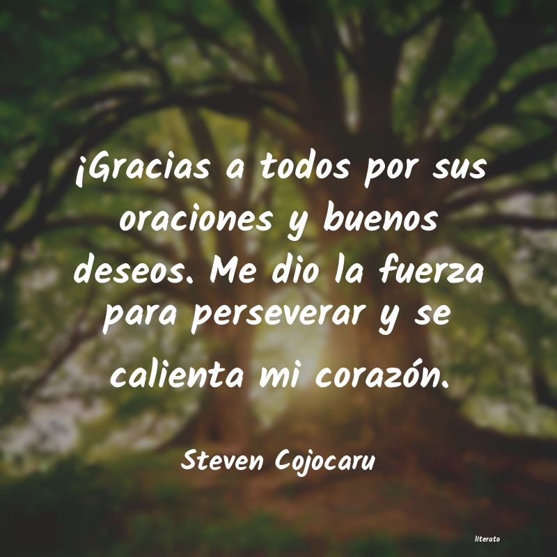 frases de Steven Cojocaru