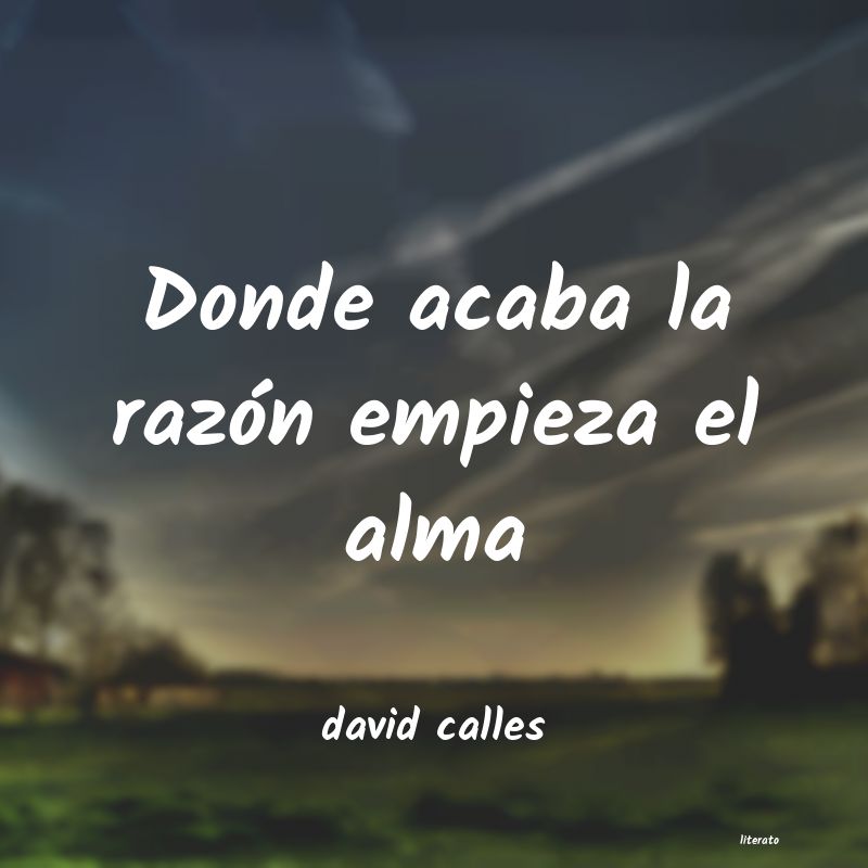 Frases de david calles