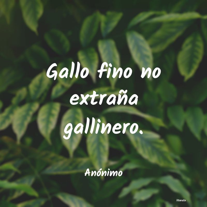Frases de