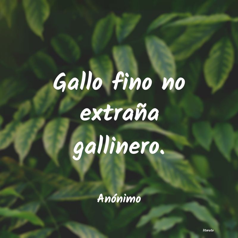 Frases de 