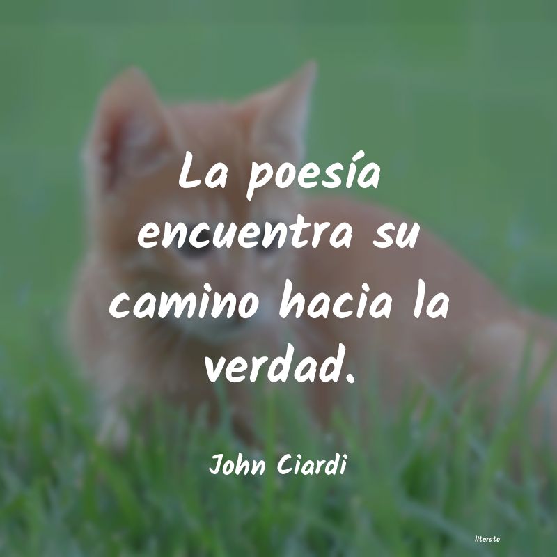 Frases de John Ciardi