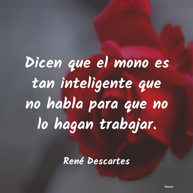 Frases de René Descartes