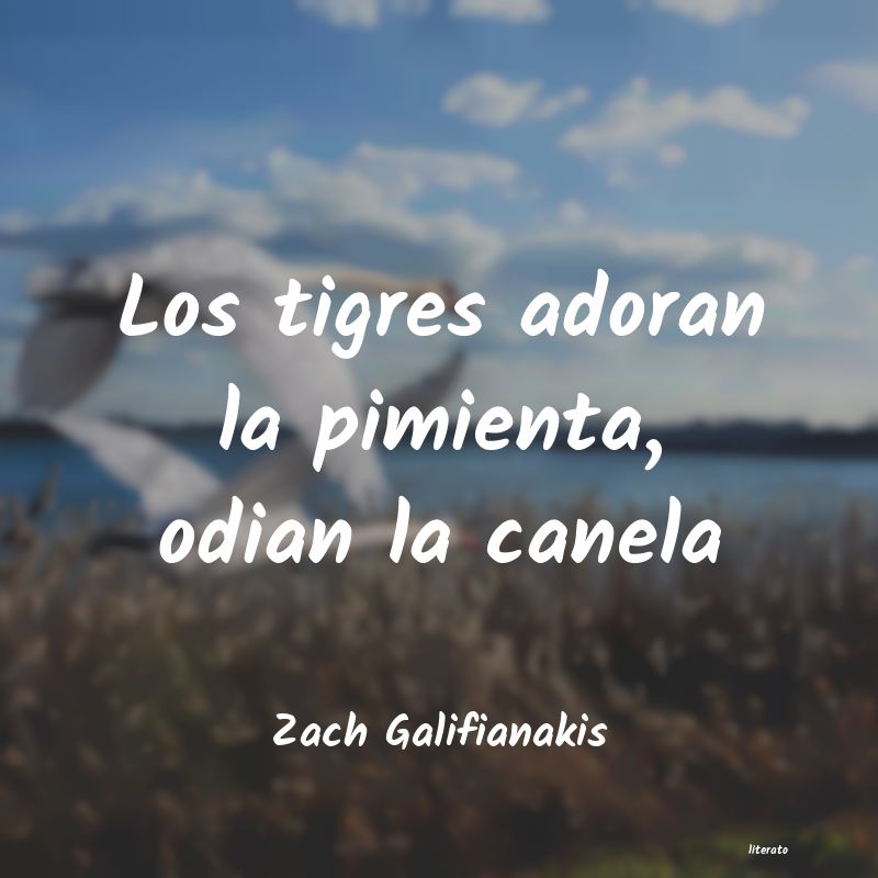 frases de Zach Galifianakis