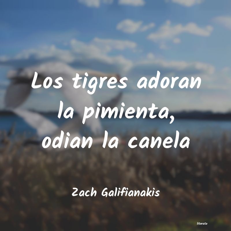 Frases de Zach Galifianakis