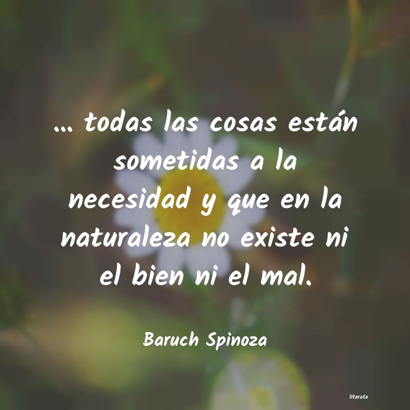 Frases de Baruch Spinoza