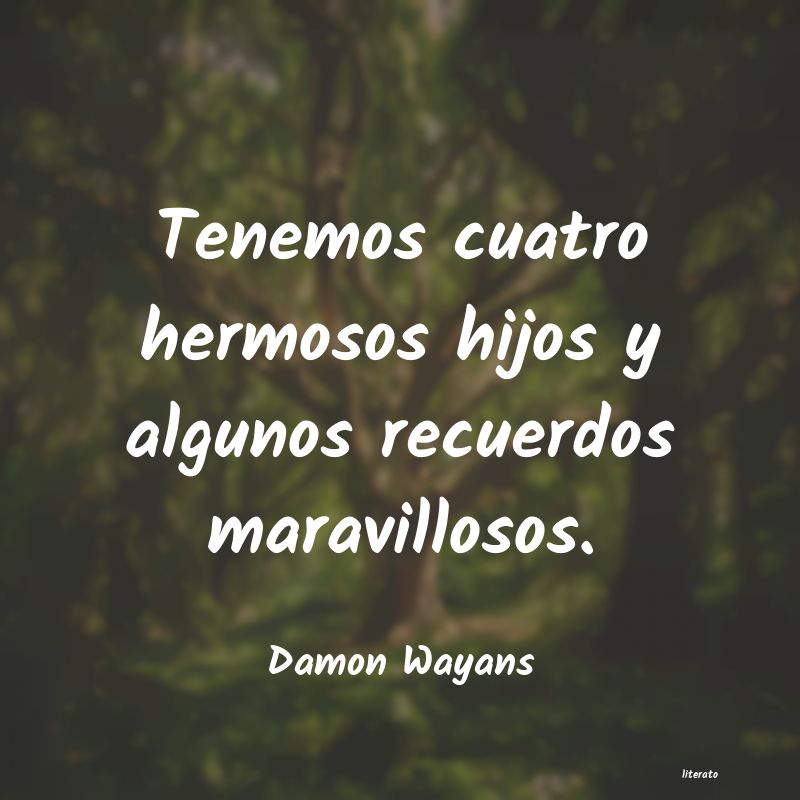 Frases de Damon Wayans