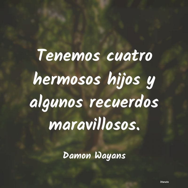 frases de Damon Wayans