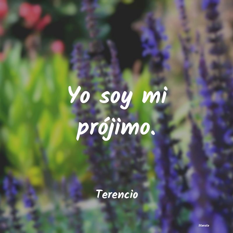 Frases de Terencio