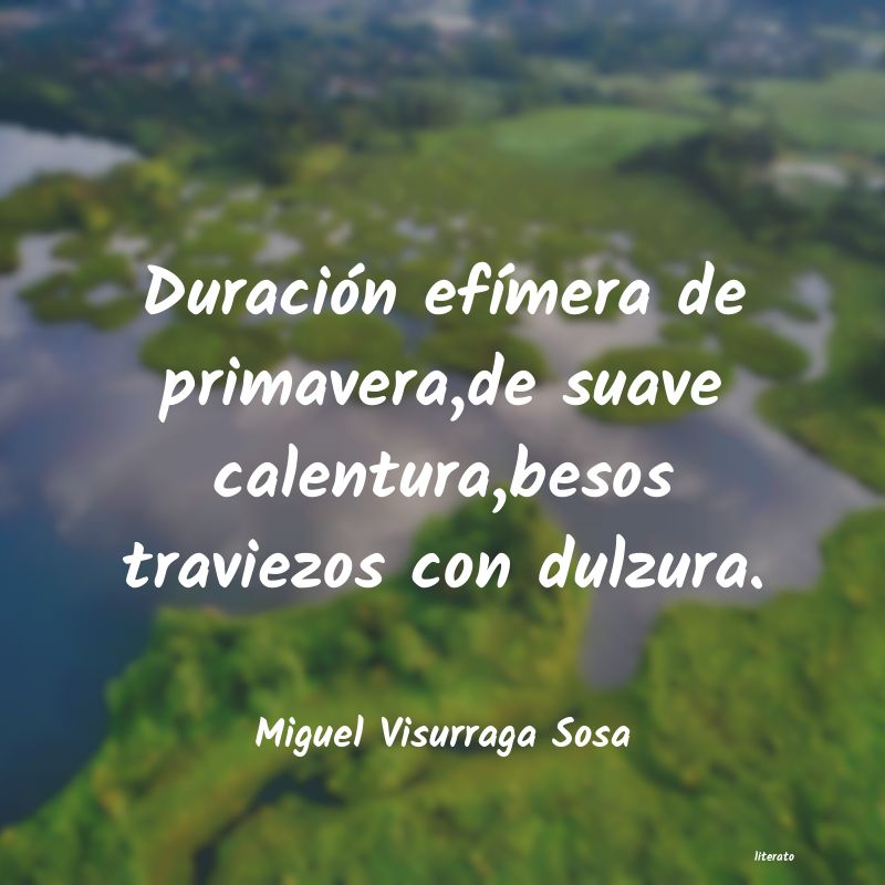 frases de Miguel Visurraga Sosa
