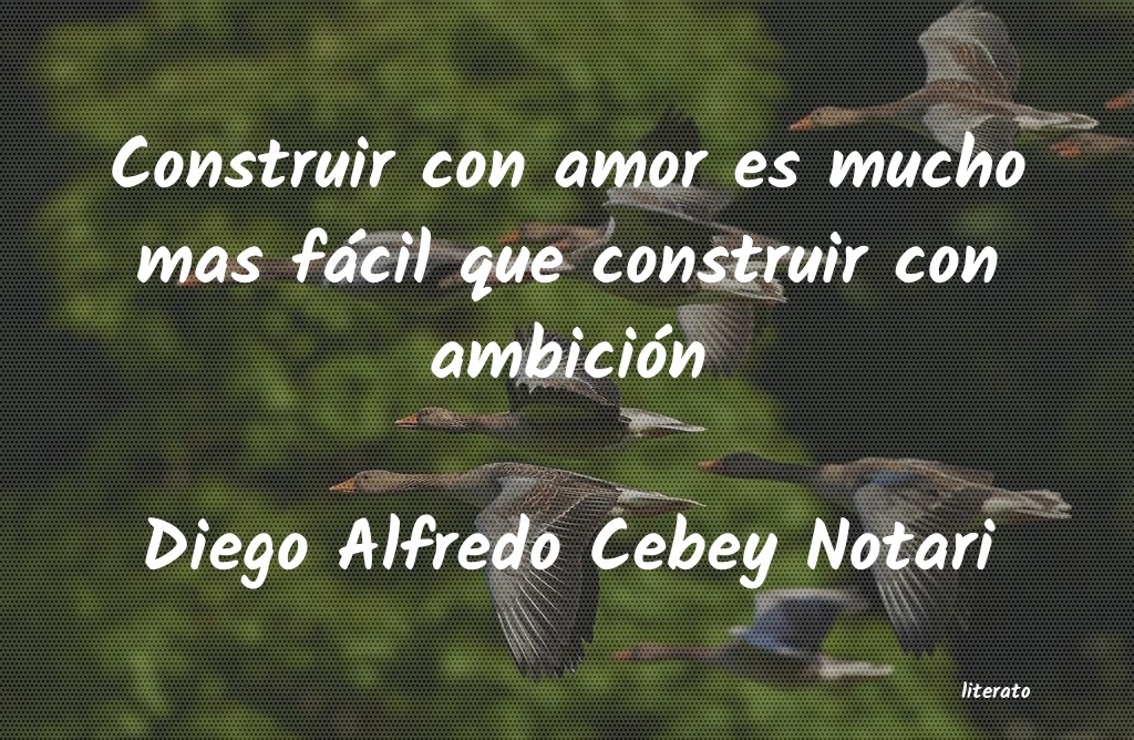 frases de Diego Alfredo Cebey Notari