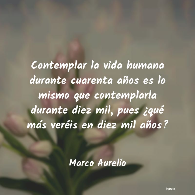 frases de Marco Aurelio
