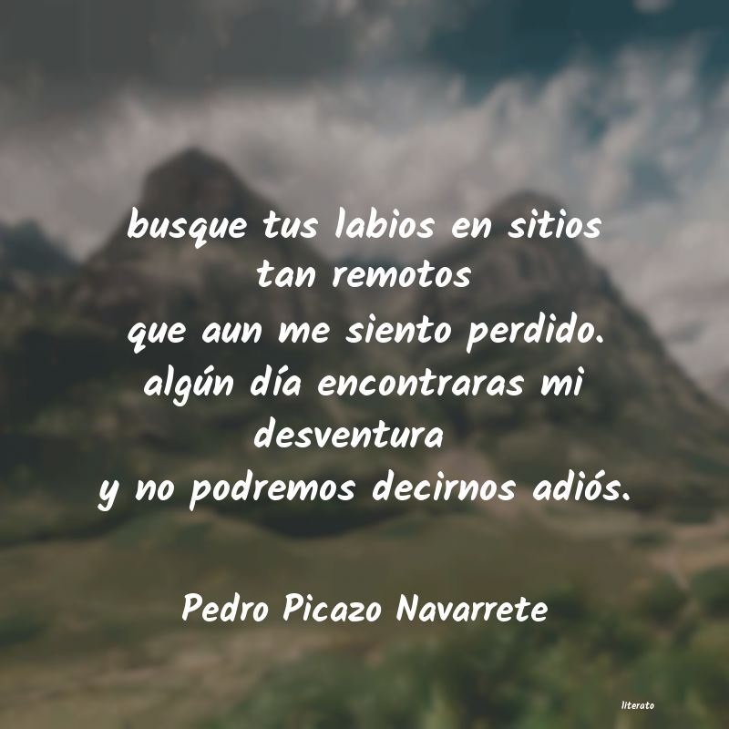 Frases de Pedro Picazo Navarrete