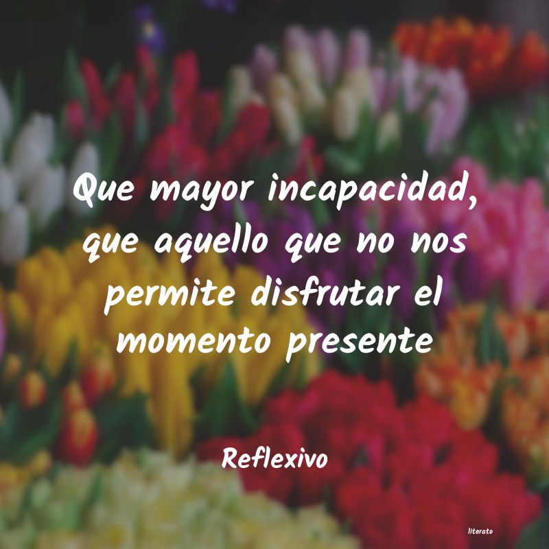 frases de Reflexivo