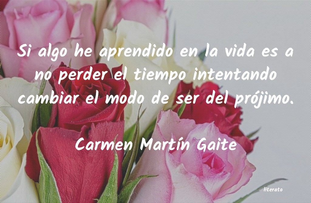 Frases de Carmen Martín Gaite