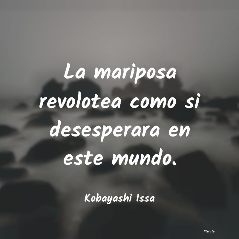 Frases de Kobayashi Issa