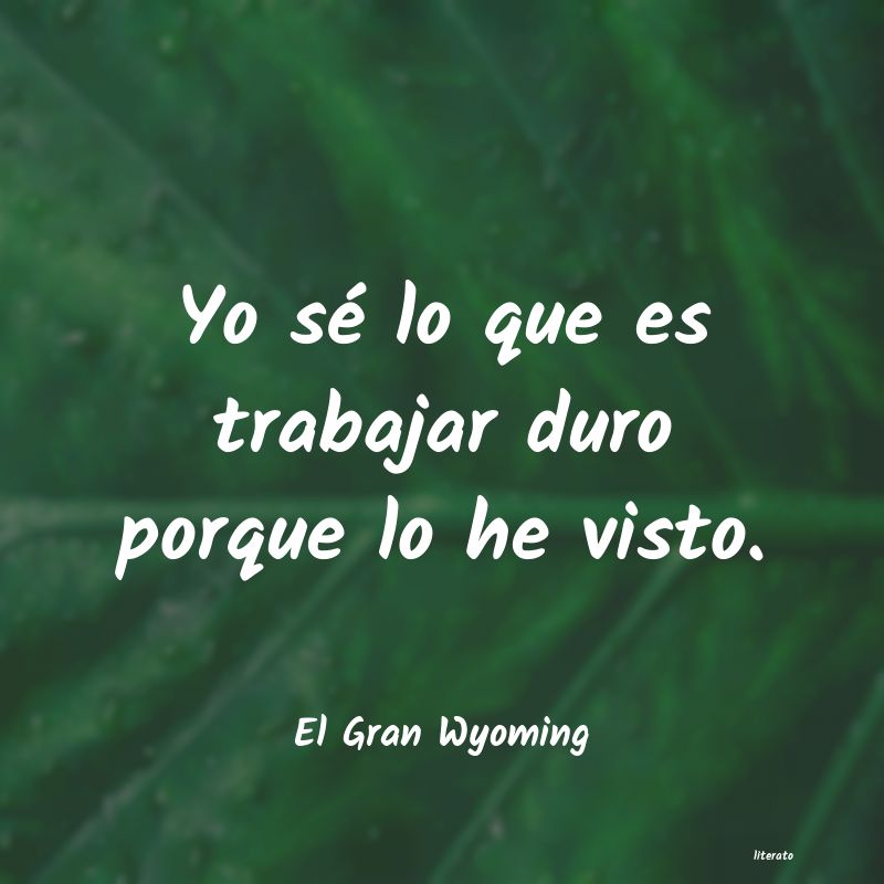 Frases de El Gran Wyoming